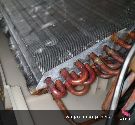 מזגן נקי מעובש מבפנים